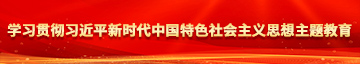 黑屌操国产老逼学习贯彻习近平新时代中国特色社会主义思想主题教育